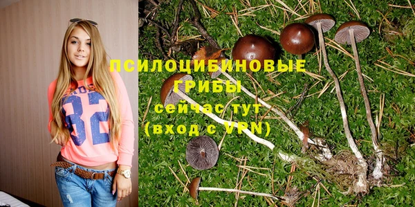 мет Алексеевка