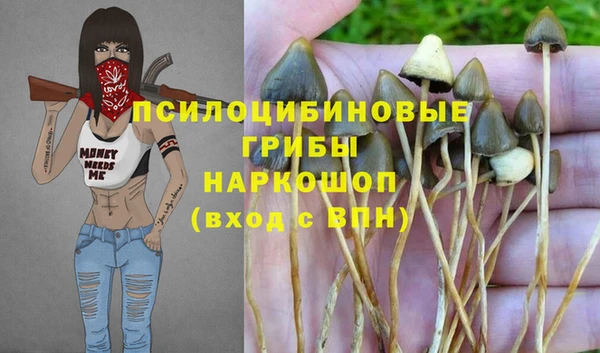 mdpv Абдулино