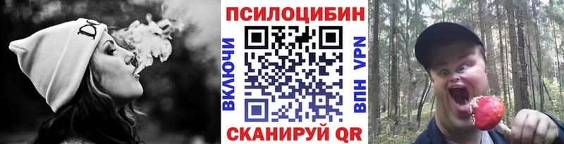 Псилоцибиновые грибы GOLDEN TEACHER  Тында 