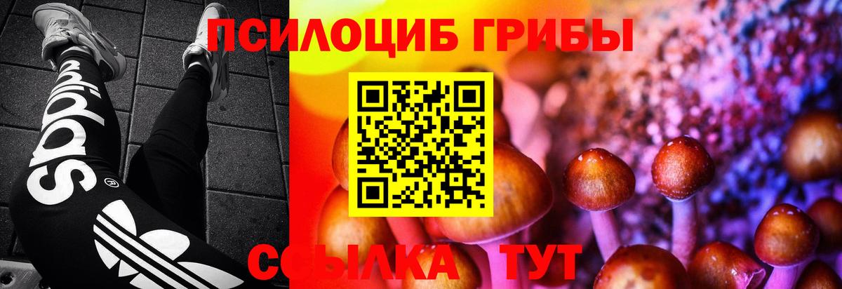 Галлюциногенные грибы ЛСД  Вход с VPN  Тында 